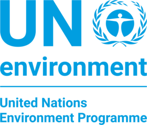 UN environment